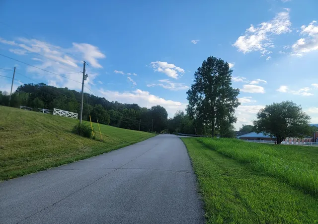 Photo 4 of Land for sale at 33 Hinch St, Spring City, TN 37381 | MLS# 3304360 | Listing updated on 2026-08-13