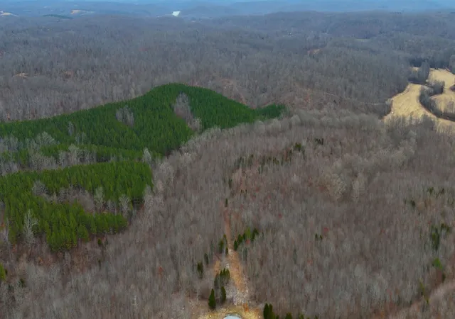 Photo 24 of Land for sale at 0 Horseshoe Hollow Rd, Dover, TN 37058 | MLS# 2964522 | Listing updated on 2025-08-11