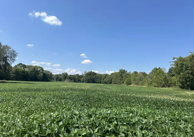 1st image of 15608 South Road, Cadiz, KY 42211 | MLS# 2967735