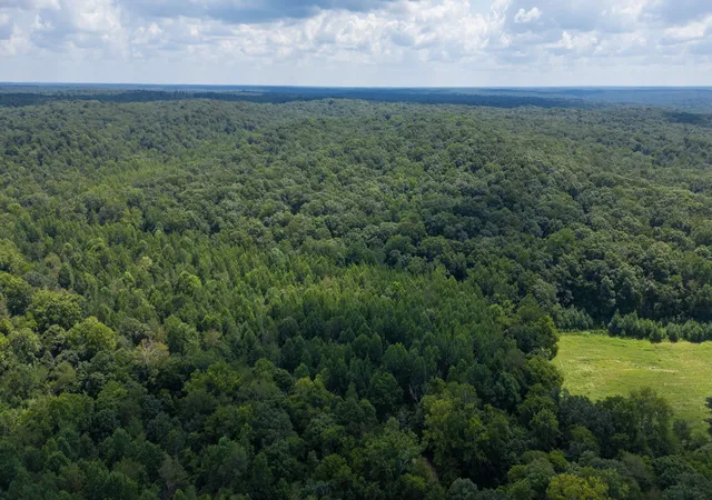 22nd image of 15608 South Road, Cadiz, KY 42211 | MLS# 2967735