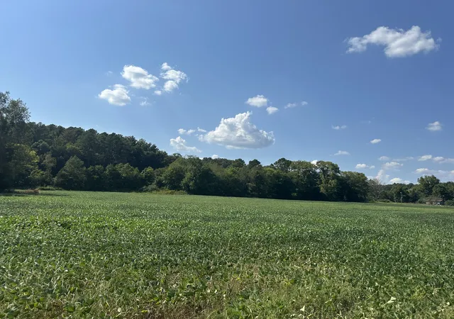 5th image of 15608 South Road, Cadiz, KY 42211 | MLS# 2967735