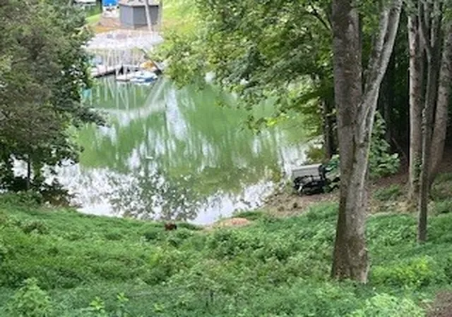 8th image of 0 Cline Ridge Rd, Winchester, TN 37398 | MLS# 2969476