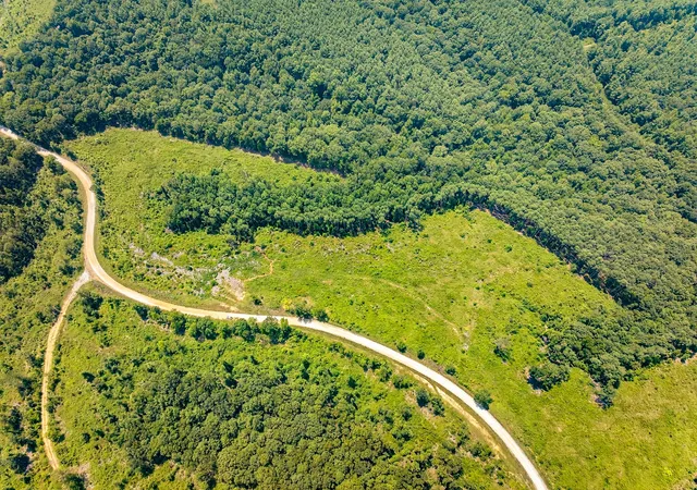 Photo 3 of Land for sale at 0 Twin Feathers Rd, Dover, TN 37058 | MLS# 2969748 | Listing updated on 2026-08-03