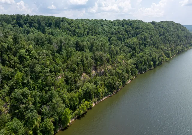 5th image of 555 New Era Bluff Rd, Linden, TN 37096 | MLS# 2969830