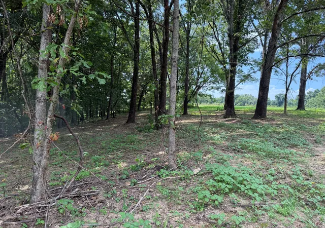 Photo 3 of Land for sale at 12a Bunker Hill Road, Pulaski, TN 38478 | MLS# 2969978 | Listing updated on 2026-10-04