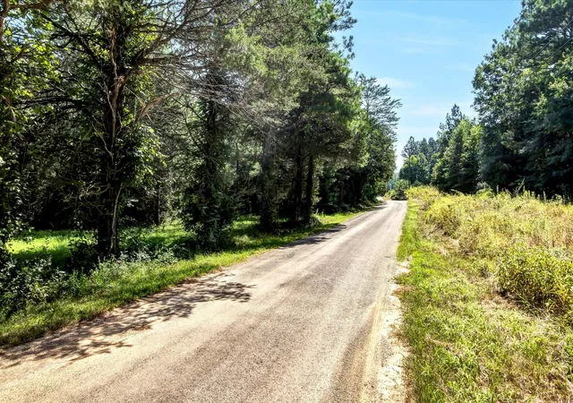 1st image of 323 Friendship Church Road, Delano, TN 37325 | MLS# 3319970