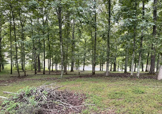 Homes for sale in Lawrenceburg, TN | 0 Cove Ln, Lawrenceburg, TN 38464 | MLS# 2970083