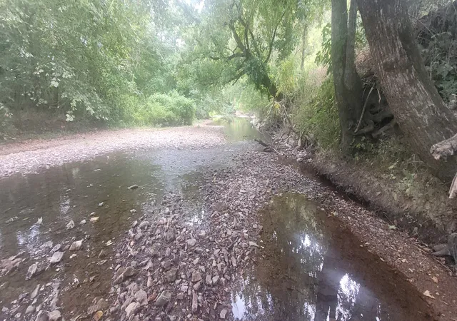 Photo 4 of Land for sale at 5641 New Hwy 7, Santa Fe, TN 38482 | MLS# 2970411 | Listing updated on 2026-08-29