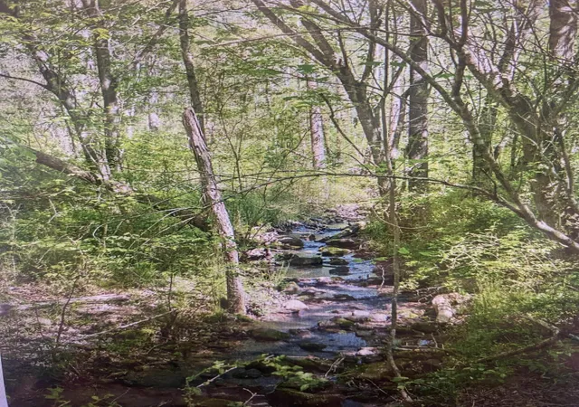image of 1 Smith Road, Dunlap, TN 37327 | MLS# 3122660