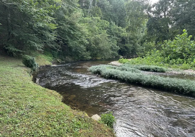 1st image of 104 Limo View Ln, Hohenwald, TN 38462 | MLS# 2972120