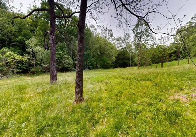 Photo 3 of House for sale at 2100 Highway 13, Erin, TN 37061 | MLS# 2971478 | Listing updated on 2025-08-11