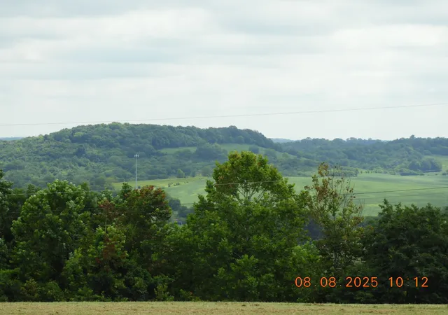 35th image of 202 Desperado Ave, Pulaski, TN 38478 | MLS# 2971556