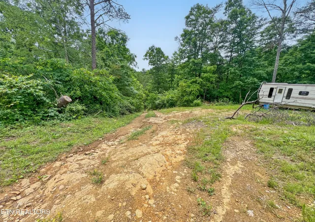 1st image of 185 Green Rd, Bulls Gap, TN 37711 | MLS# 3278462