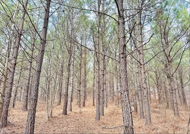 Photo 1 of Land for sale at 48 Ranches At Hickory Ridge, Erin, TN 37061 | MLS# 2971573 | Listing updated on 2025-10-20