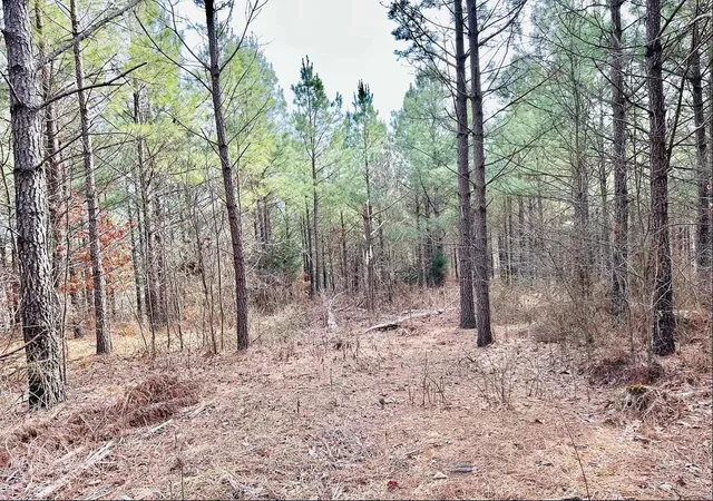 Photo 2 of Land for sale at 48 Ranches At Hickory Ridge, Erin, TN 37061 | MLS# 2971573 | Listing updated on 2025-10-20