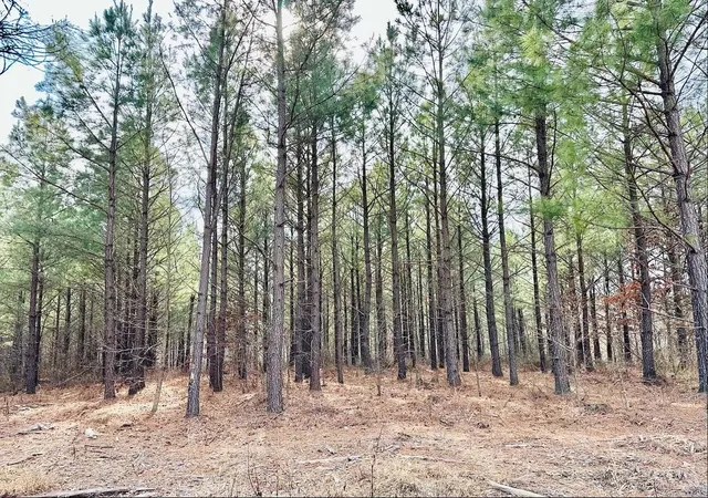 Photo 3 of Land for sale at 48 Ranches At Hickory Ridge, Erin, TN 37061 | MLS# 2971573 | Listing updated on 2025-10-20