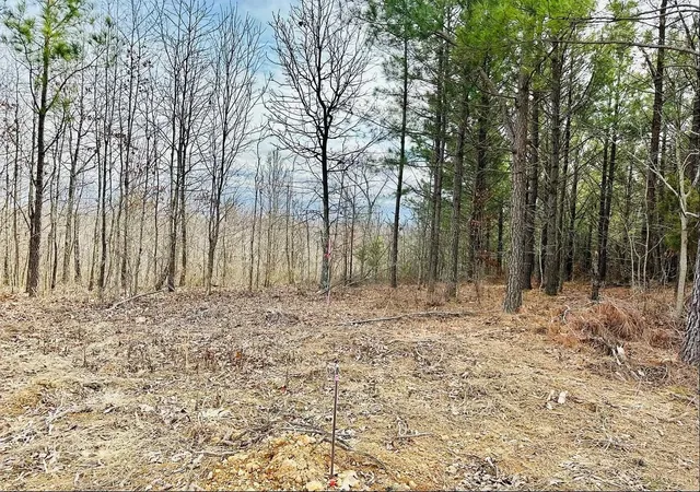 Photo 4 of Land for sale at 48 Ranches At Hickory Ridge, Erin, TN 37061 | MLS# 2971573 | Listing updated on 2025-10-20