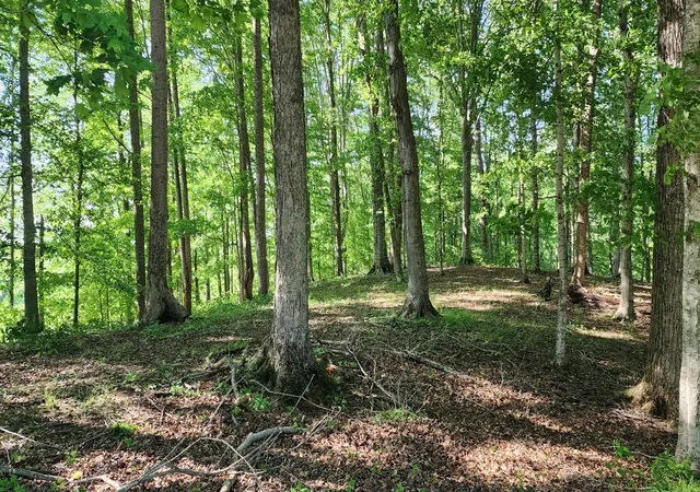 Photo 4 of Land for sale at 1 Potts Camp Rd, Smithville, TN 37166 | MLS# 2971750 | Listing updated on 2025-08-11