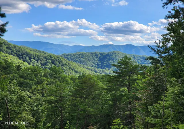 4th image of 2000 E Millers Cove Rd, Walland, TN 37886 | MLS# 3322485