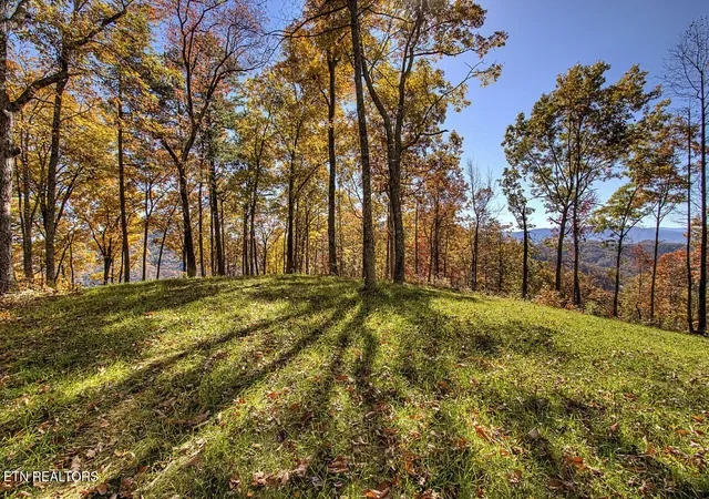 5th image of 2000 E Millers Cove Rd, Walland, TN 37886 | MLS# 3322485