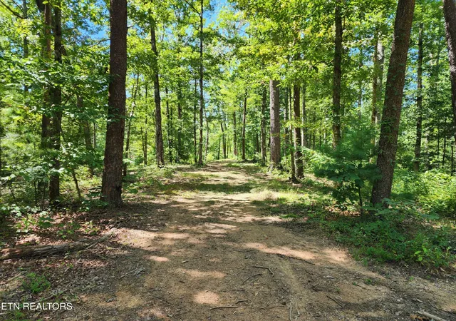 60th image of 2000 E Millers Cove Rd, Walland, TN 37886 | MLS# 3322485