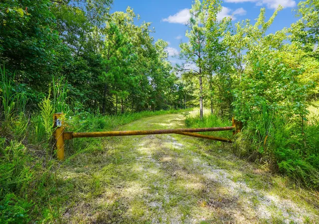 Photo 2 of Land for sale at 4 Cox Hollow Rd, Dover, TN 37058 | MLS# 2972471 | Listing updated on 2026-04-18