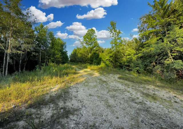 Photo 3 of Land for sale at 4 Cox Hollow Rd, Dover, TN 37058 | MLS# 2972471 | Listing updated on 2026-04-18