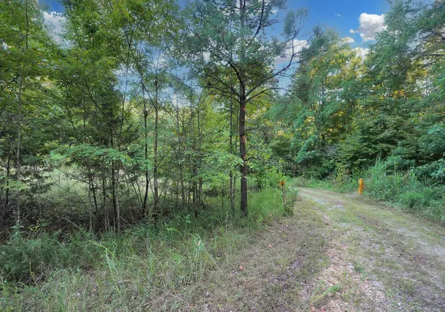 Photo 2 of Land for sale at 4 Cox Hollow Rd, Dover, TN 37058 | MLS# 2972471 | Listing updated on 2026-04-18