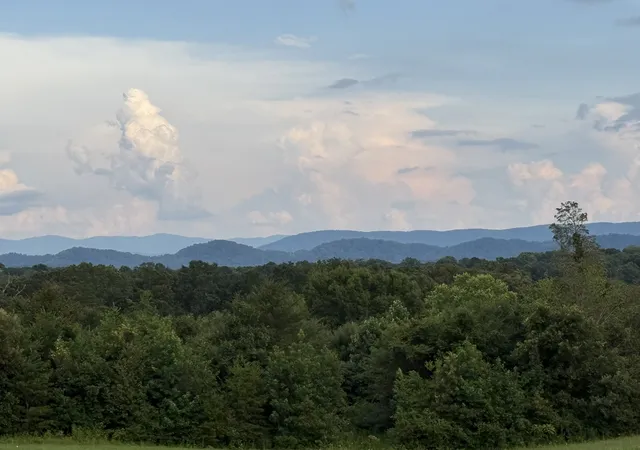 Homes for sale in Athens, TN | 705 County Road 446, Athens, TN 37303 | MLS# 2981868