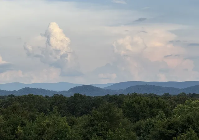 Homes for sale in Athens, TN | 705 County Road 446, Athens, TN 37303 | MLS# 2981868