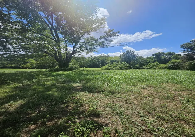 3rd image of 264 Joe B Jackson Pkwy, Murfreesboro, TN 37127 | MLS# 2972672