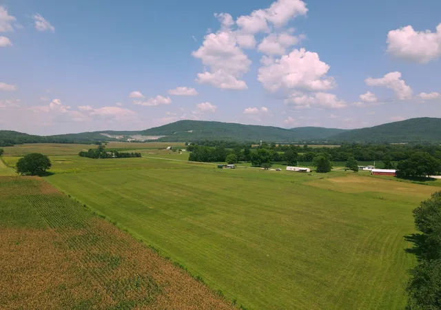 Homes for sale in Hillsboro, TN | 0 Bailey Rd, Hillsboro, TN 37342 | MLS# 2975345