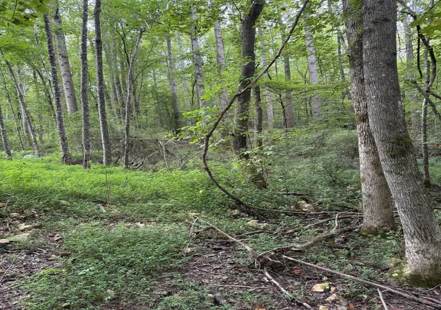 70th image of 1240 Johnson Branch Rd, Pulaski, TN 38478 | MLS# 2972826