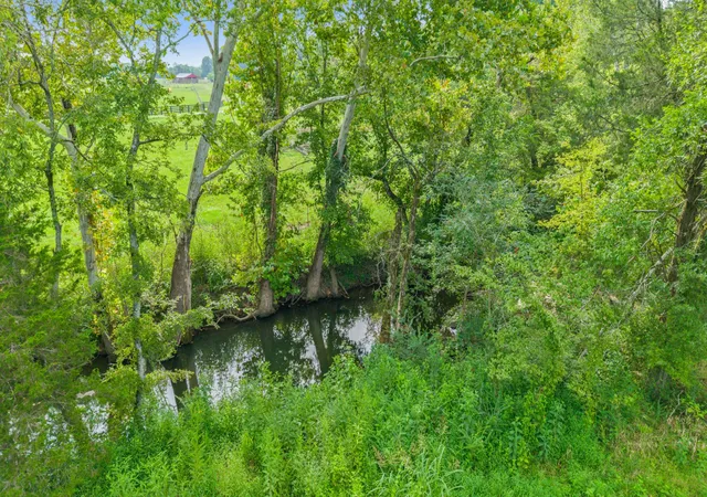 Photo 3 of Land for sale at 1 Mount Vernon Rd, Chapel Hill, TN 37034 | MLS# 2975099 | Listing updated on 2025-11-18