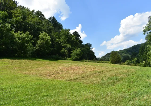 1st image of 0 Nascar Ln, Pleasant Shade, TN 37145 | MLS# 2973616