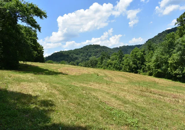 2nd image of 0 Nascar Ln, Pleasant Shade, TN 37145 | MLS# 2973616