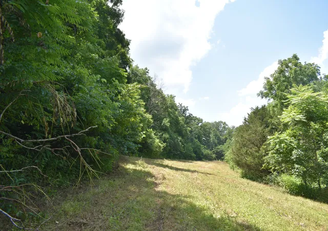 Photo 3 of Land for sale at 0 Nascar Ln, Pleasant Shade, TN 37145 | MLS# 2973616 | Listing updated on 2026-10-06