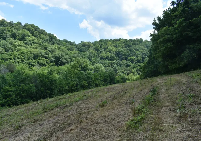 Photo 3 of Land for sale at 0 Nascar Ln, Pleasant Shade, TN 37145 | MLS# 2973616 | Listing updated on 2026-10-06