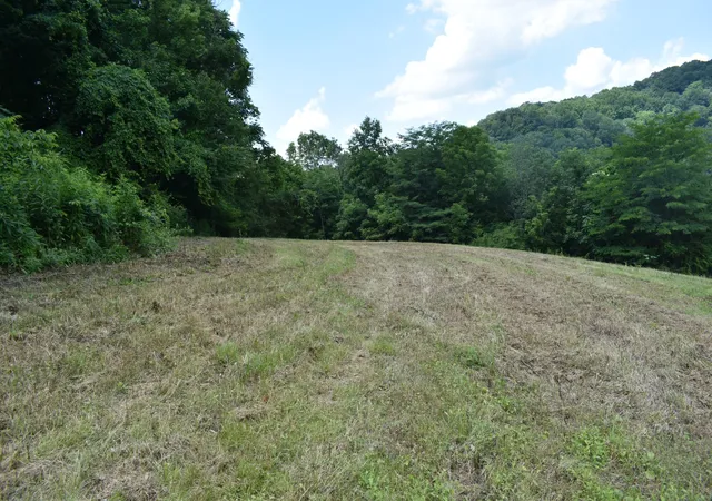 Photo 4 of Land for sale at 0 Nascar Ln, Pleasant Shade, TN 37145 | MLS# 2973616 | Listing updated on 2026-10-06
