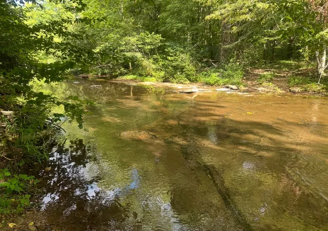 Photo 3 of Land for sale at 8884 Hwy 412 W, Linden, TN 37096 | MLS# 2973578 | Listing updated on 2026-08-14