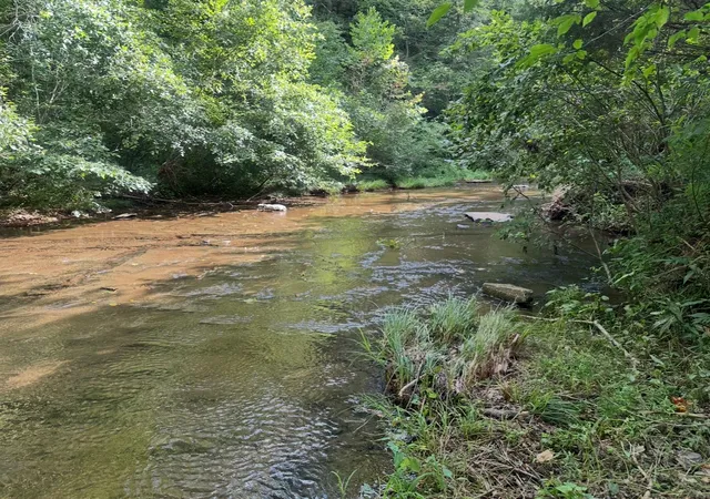 Photo 3 of Land for sale at 8884 Hwy 412 W, Linden, TN 37096 | MLS# 2973578 | Listing updated on 2026-08-14