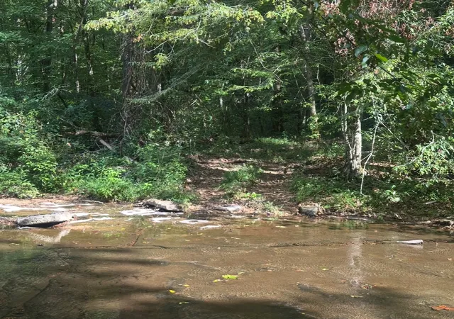 Photo 4 of Land for sale at 8884 Hwy 412 W, Linden, TN 37096 | MLS# 2973578 | Listing updated on 2026-08-14