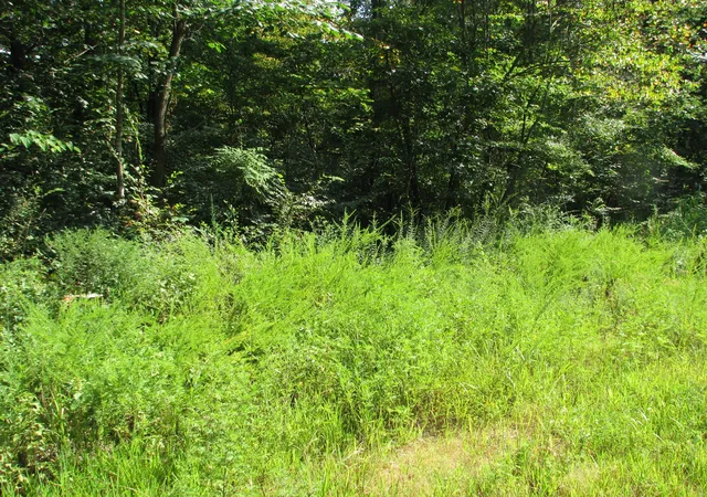 Photo 1 of Land for sale at 0 Sycamore Landing Rd, Waverly, TN 37185 | MLS# 2974144 | Listing updated on 2026-08-18