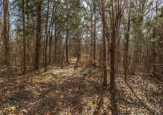 19th image of 8870 Rocky Fork Rd, Smyrna, TN 37167 | MLS# 2973771