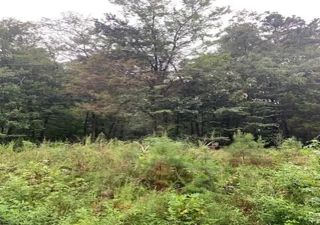 Photo 3 of Land for sale at 2 Nw Frontage Rd, Cleveland, TN 37312 | MLS# 3269758 | Listing updated on 2026-09-12