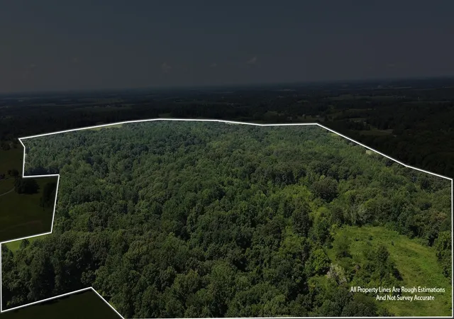 7th image of 0 Witty Lane, Hopkinsville, KY 42240 | MLS# 2973939