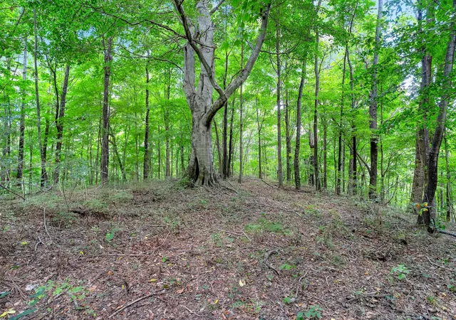 Photo 4 of Sale Pending at 0 Red Hill Rd, Normandy, TN 37360 | MLS# 2974124 | Listing updated on 2026-07-08