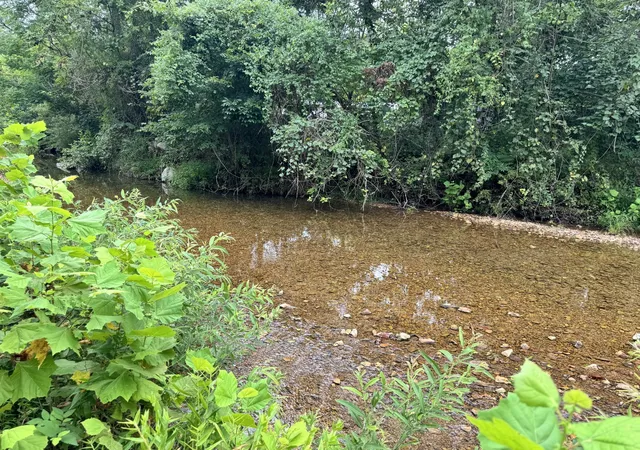 Photo 2 of Land for sale at 0 Walnut Grv Rd, Dickson, TN 37055 | MLS# 2974771 | Listing updated on 2026-05-08