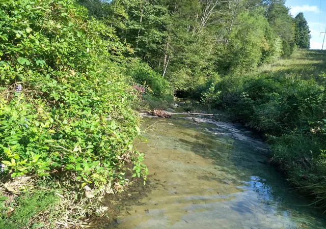 2nd image of 7500 Antioch Rd, Smithville, TN 37166 | MLS# 2975256