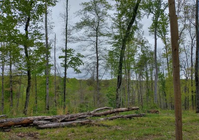 4th image of 7500 Antioch Rd, Smithville, TN 37166 | MLS# 2975256